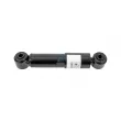 Amortisseur, suspension de la cabine DT 4.66601 - Visuel 1
