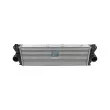 Intercooler, échangeur DT 4.66825 - Visuel 1