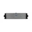 Intercooler, échangeur DT 4.66827 - Visuel 1