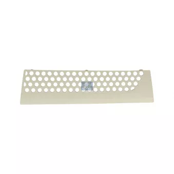 Grille de radiateur DT 4.67983