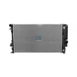 Radiateur, refroidissement du moteur DT 4.68733 - Visuel 1