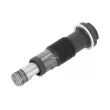 Tendeur, chaîne de distribution DT 4.68928 - Visuel 1