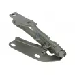Charnière de porte DT 4.69078 - Visuel 1