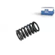 Ressort de soupape DT 4.70029 - Visuel 1