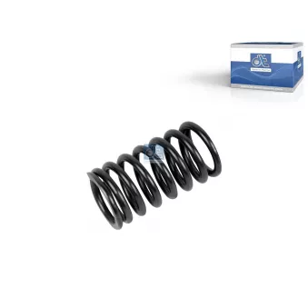 Ressort de soupape DT 4.70029