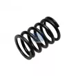 Ressort de soupape DT 4.70057 - Visuel 1