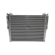 Intercooler, échangeur DT 4.71480 - Visuel 1