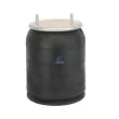 Ressort pneumatique, suspension pneumatique DT 4.80995 - Visuel 1