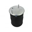 Ressort pneumatique, suspension pneumatique DT 4.81035 - Visuel 1