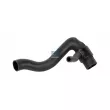 Durite de radiateur DT 4.81122 - Visuel 1
