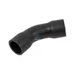 Durite de radiateur DT 4.81311 - Visuel 1