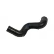 Durite de radiateur DT 4.81339 - Visuel 1
