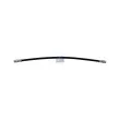Flexible de frein DT 4.81341 - Visuel 1