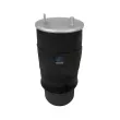 Ressort pneumatique, suspension pneumatique DT 4.81370 - Visuel 1