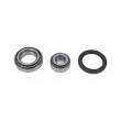 Kit de réparation, moyeu de roue DT 4.91486 - Visuel 1