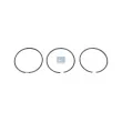 Jeu de segments de pistons DT 4.92035 - Visuel 1