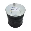 Ressort pneumatique, suspension pneumatique DT 5.10287 - Visuel 1