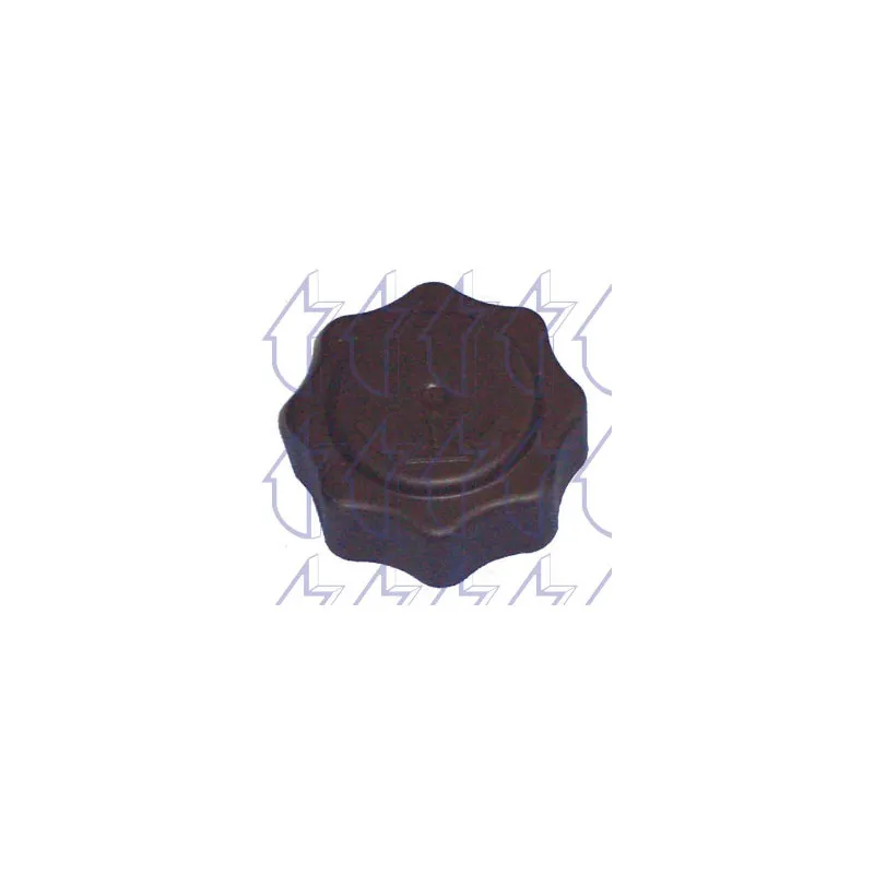 Bouchon, réservoir de liquide de refroidissement TRICLO 313339