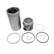 Kit de réparation, Piston/Chemise de cylindre DT 5.94254 - Visuel 1