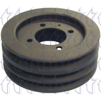 Poulie, vilebrequin TRICLO