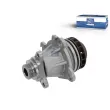 Pompe à eau DT 6.30033 - Visuel 1