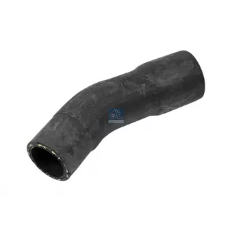 Durite de radiateur DT 6.30202