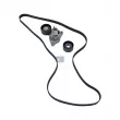 Jeu de courroies trapézoïdales DT 6.31605 - Visuel 1