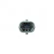 Injecteur DT 6.33134 - Visuel 2
