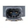 Injecteur DT 6.33139 - Visuel 2