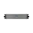 Intercooler, échangeur DT 6.35418 - Visuel 1