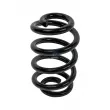 Ressort de suspension DT 6.53900 - Visuel 1