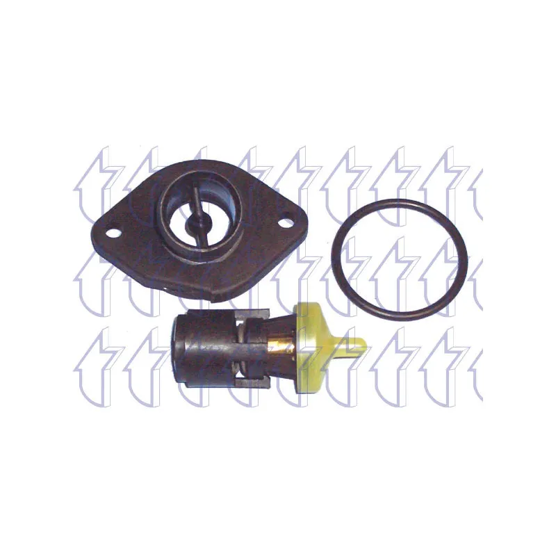 Thermostat d'eau TRICLO 463826