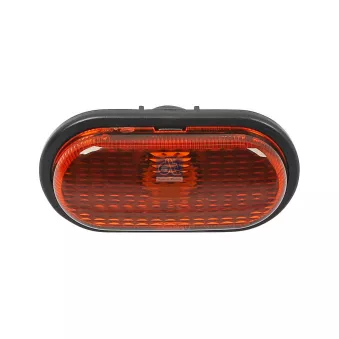 Feu clignotant DT 6.85016SP