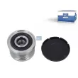 Poulie roue libre, alternateur DT 6.91502 - Visuel 1
