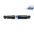 Jeu de 2 amortisseurs avant DT 7.00298 - Visuel 1