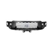 Grille de ventilation, pare-chocs DT 7.10164 - Visuel 1