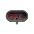 Pédale d'accélérateur DT 7.15504 - Visuel 3