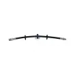 Flexible de frein DT 7.16933 - Visuel 1