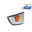 Feu clignotant DT 7.25129 - Visuel 1
