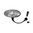 Feu latéral DT 7.25299 - Visuel 1
