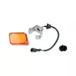 Feu latéral DT 7.25305 - Visuel 1