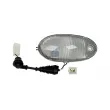 Feu latéral DT 7.25323 - Visuel 1