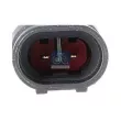 Feu latéral DT 7.25410 - Visuel 2