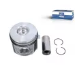 Piston DT 7.54665 - Visuel 1