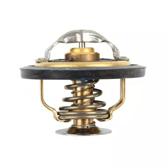 Thermostat, liquide de refroidissement DT 7.60202