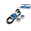 Kit de distribution DT 7.94542 - Visuel 1
