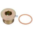 Vis-bouchon, carter de vilebrequin DT 9.29014 - Visuel 1
