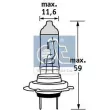 Ampoule, projecteur principal DT 9.78105 - Visuel 1