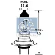 Ampoule, projecteur principal DT 9.78108 - Visuel 1