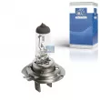 Ampoule, projecteur principal DT 9.78108 - Visuel 2